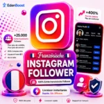 französische Instagram Follower kaufen