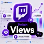 Twitch Views kaufen