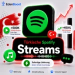 türkische Spotify Streams kaufen