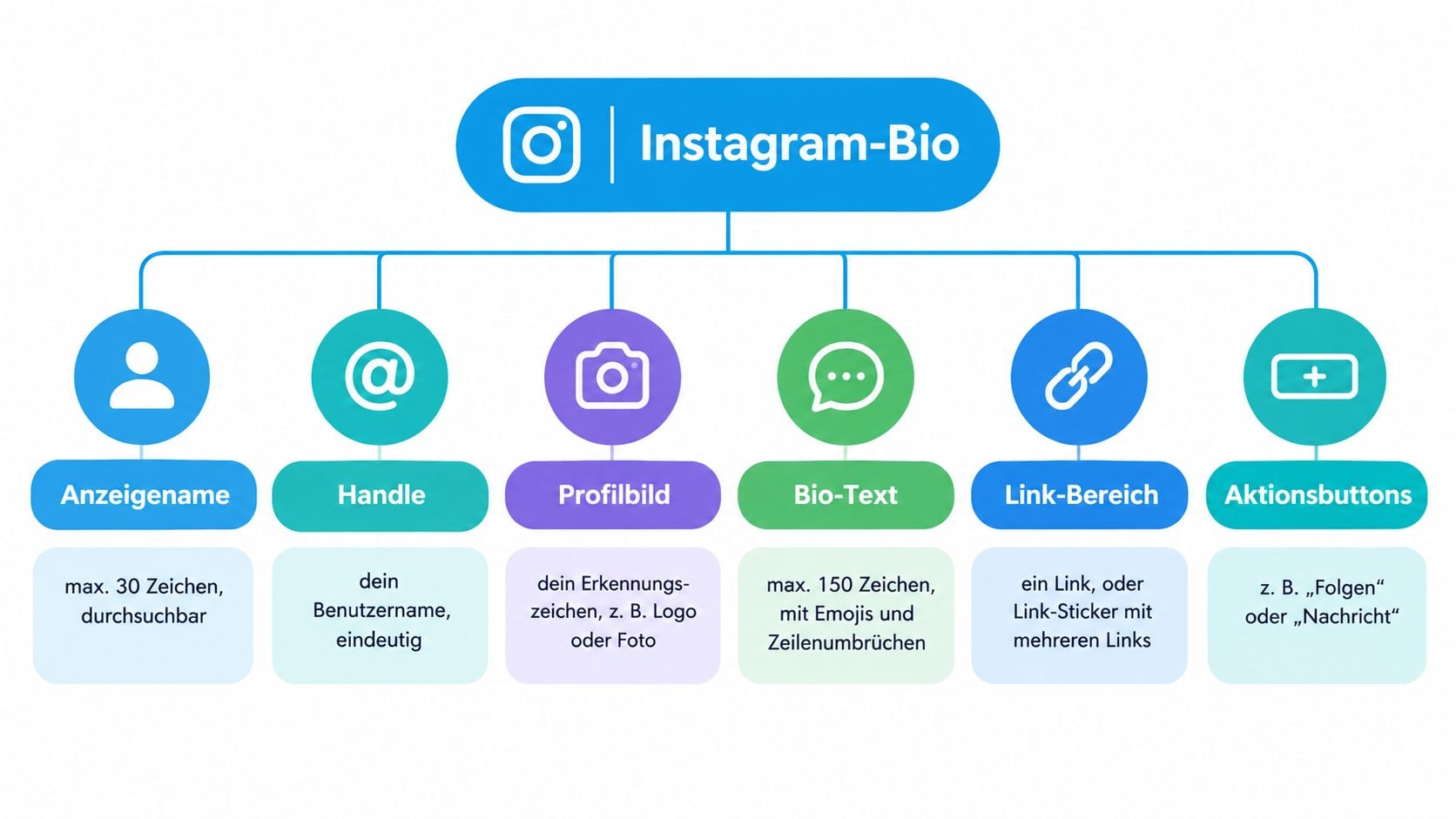 Eine Übersicht der wichtigsten Bestandteile einer Instagram-Bio als strukturierte Grafik mit Symbolen und erklärenden Kurztexten auf Deutsch.